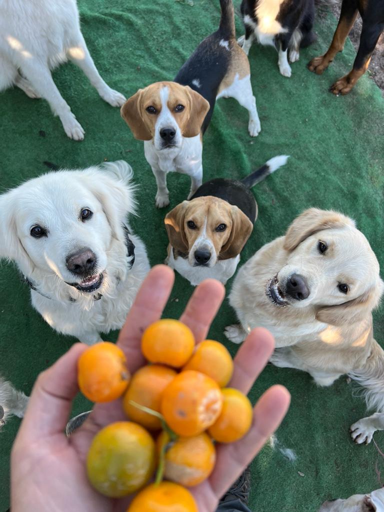 Daycare gallery