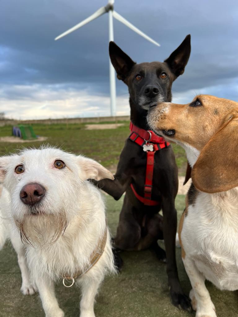 Daycare gallery