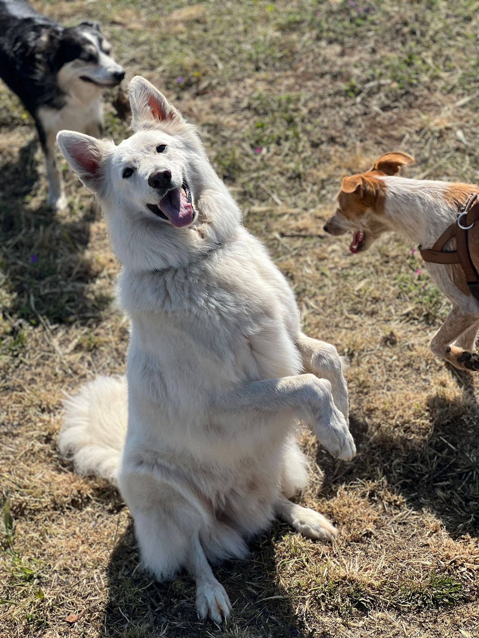 Daycare gallery